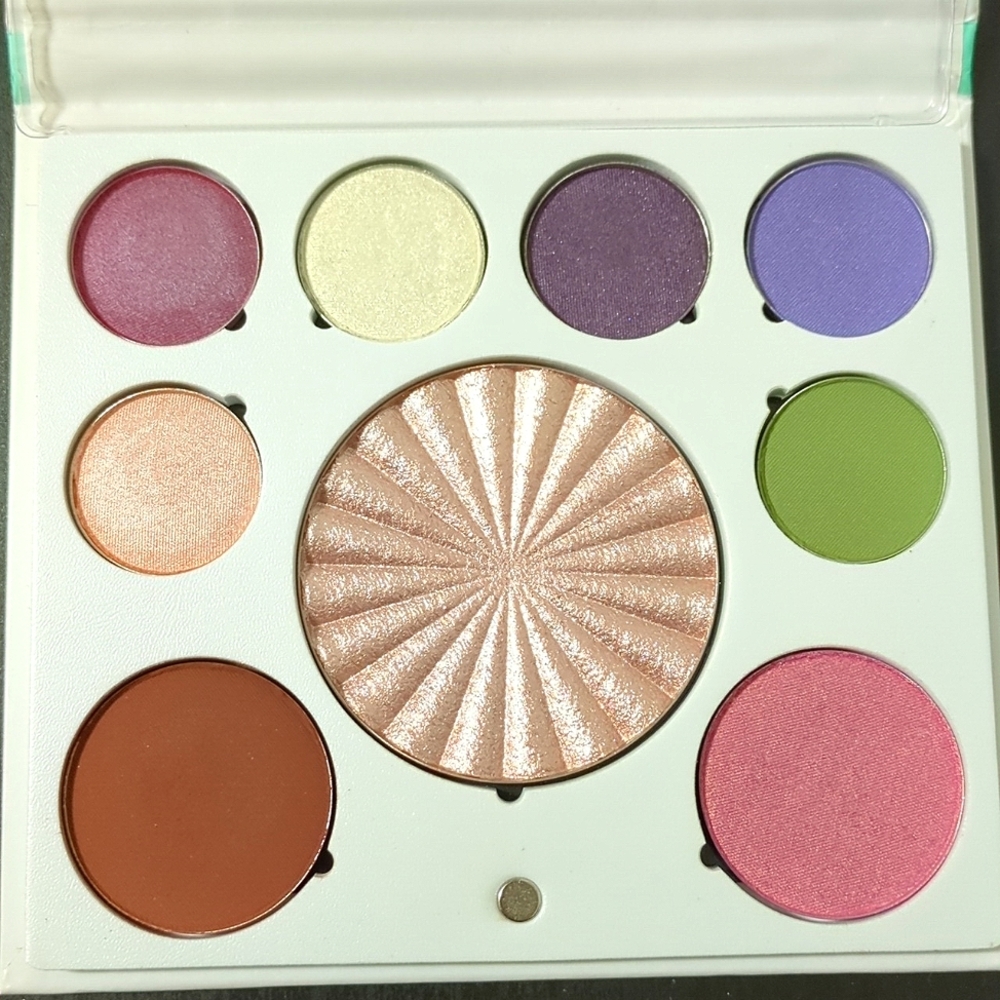 Ofra face palette
